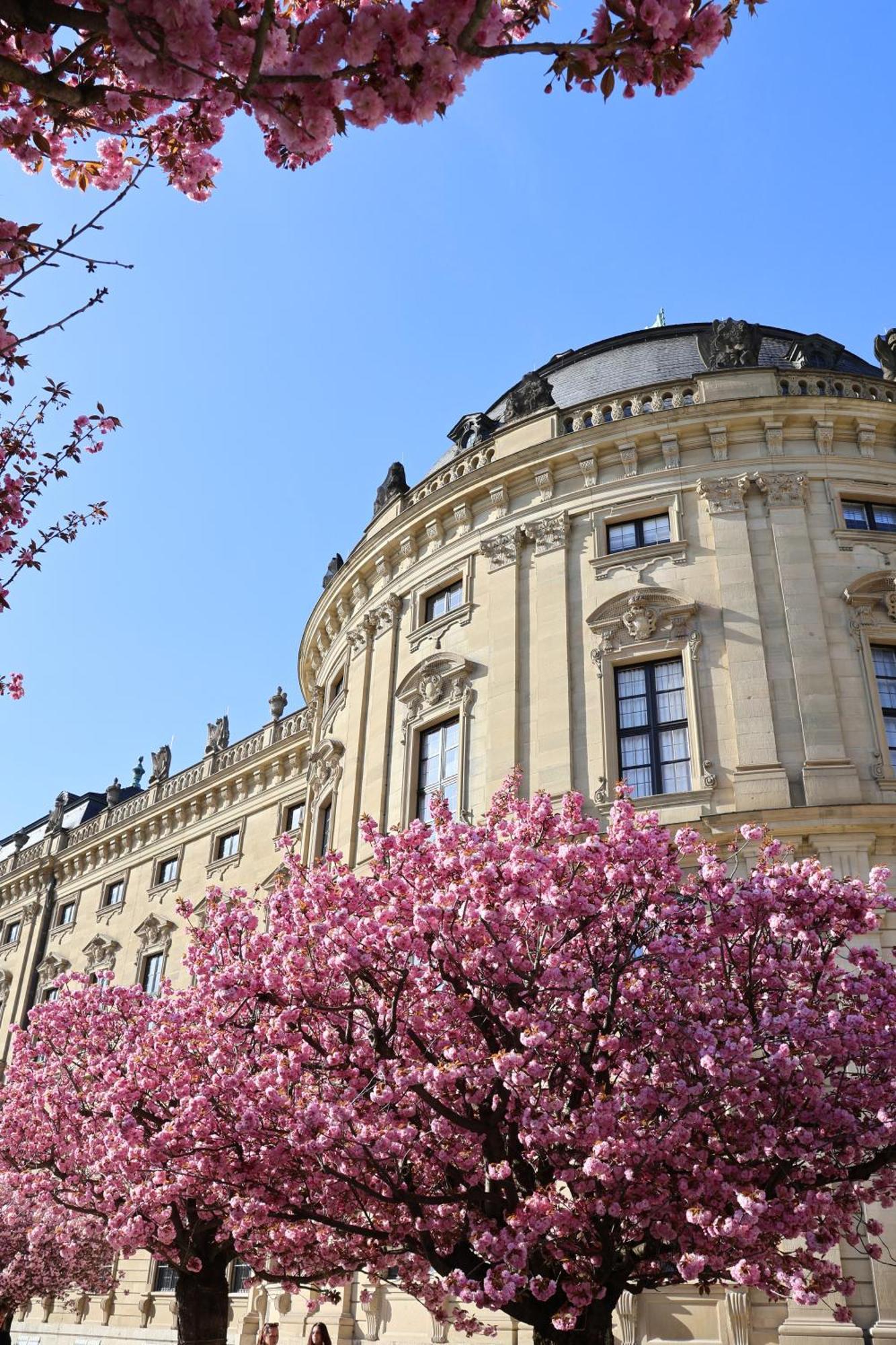 Appartement Wohnen Im Herzen Der Altstadt Wurtzbourg