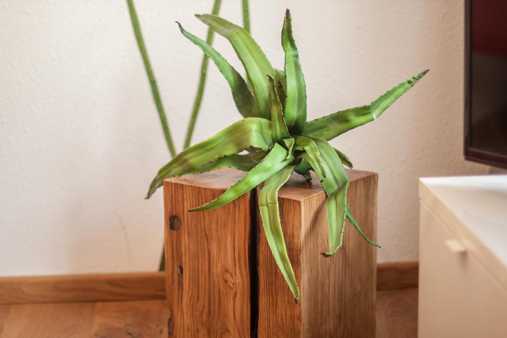 Appartement Wohnen Im Herzen Der Altstadt